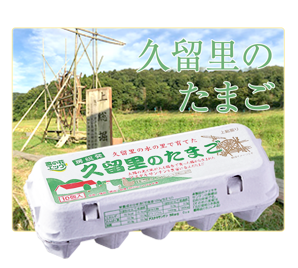 株式会社菜の花エッグ | たまご・鶏卵 | 一年生たまご｜千葉県君津市