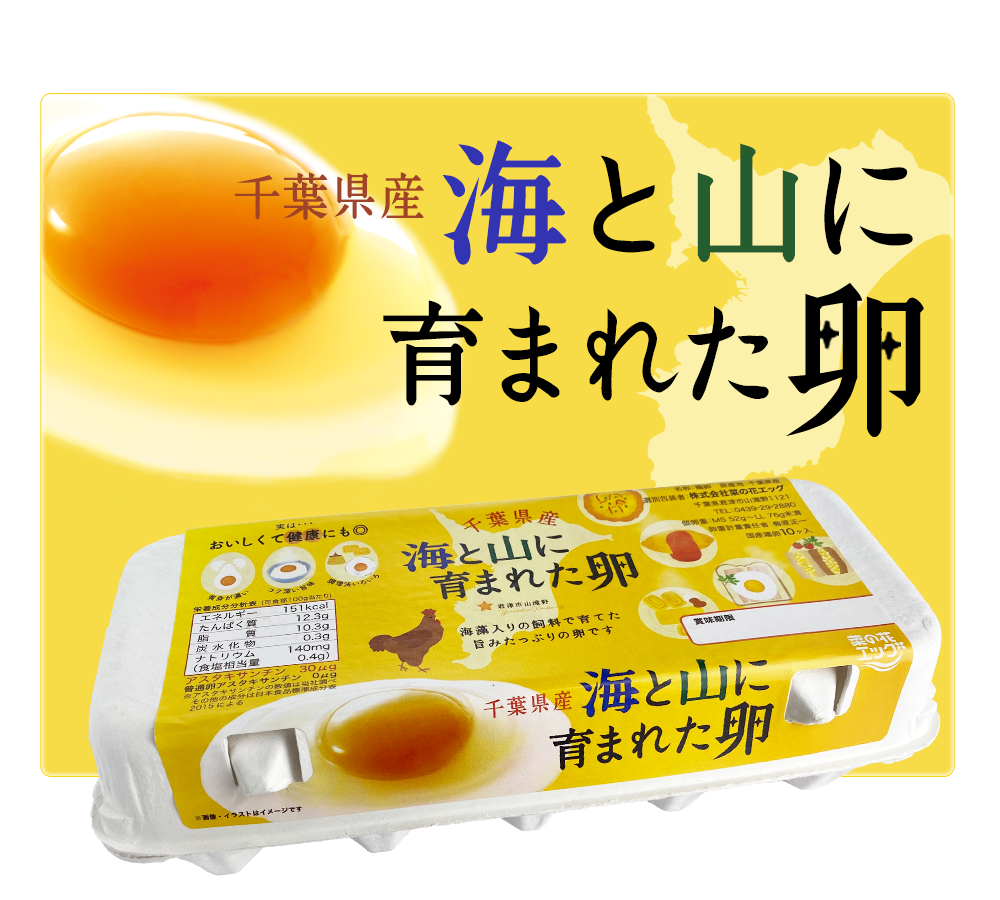 株式会社菜の花エッグ | たまご・鶏卵 | 一年生たまご｜千葉県君津市